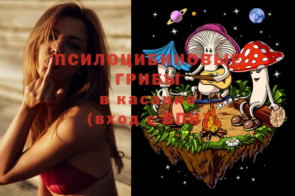 прущая мука Переславль-Залесский