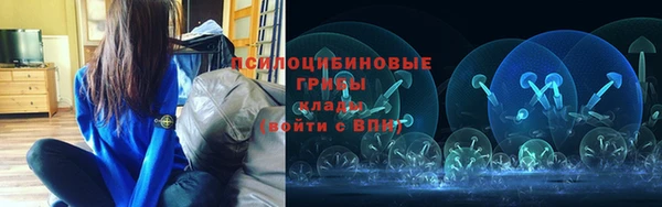 соль курить ск Богданович