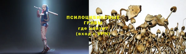 прущая мука Переславль-Залесский
